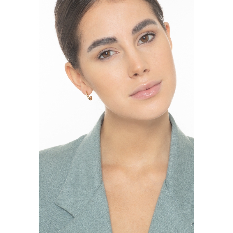 Boucles d'oreilles à crochet en or jaune 18k